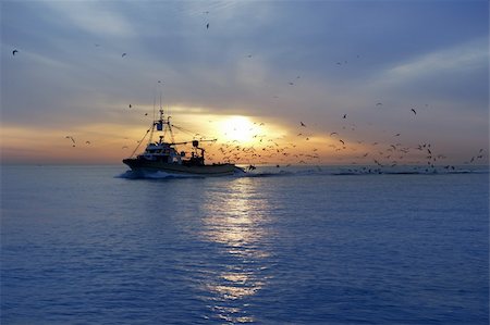 simsearch:400-05896461,k - professional fishing boat and seagull turn back port on sunset sunrise Stock Photo - Budget Royalty-Free & Subscription, Code: 400-05239933