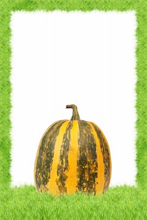 simsearch:400-04211564,k - Yellow pumpkin isolated  on a white background Photographie de stock - Aubaine LD & Abonnement, Code: 400-05239979