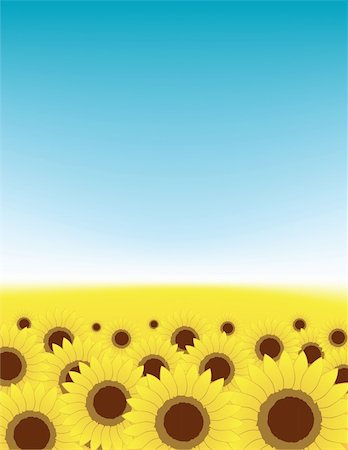 simsearch:400-04817406,k - Summer meadow, sunflowers field Stock Photo - Budget Royalty-Free & Subscription, Code: 400-05248463