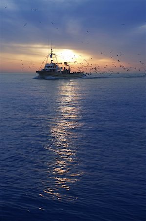 simsearch:400-05896461,k - professional fishing boat and seagull turn back port on sunset sunrise Stock Photo - Budget Royalty-Free & Subscription, Code: 400-05240217