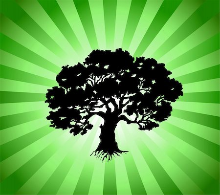 Tree with green burst background. Vector illustration Foto de stock - Super Valor sin royalties y Suscripción, Código: 400-05240501