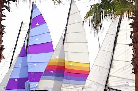 simsearch:400-05896461,k - hoby hobby cat colorful sails palm tree leaf summer sport vacation Stock Photo - Budget Royalty-Free & Subscription, Code: 400-05240684