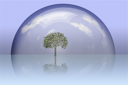 rolffimages (artist) - Tree preserved under glass dome Stock Photo - Budget Royalty-Free & Subscription, Code: 400-05242785