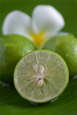 simsearch:400-04716078,k - a slice of lime Stock Photo - Budget Royalty-Free & Subscription, Code: 400-05243002