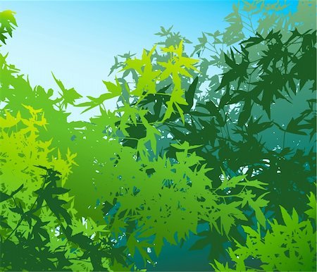 simsearch:400-04701752,k - Colorful landscape of summer foliage - Vector illustration. The different graphics are on separate layers so they can easily be moved or edited individually Photographie de stock - Aubaine LD & Abonnement, Code: 400-05243728