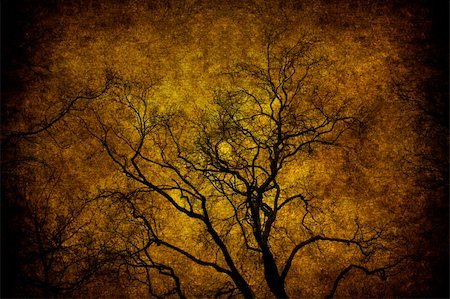 simsearch:400-06107660,k - A grunge tree textured in the sky Stock Photo - Budget Royalty-Free & Subscription, Code: 400-05254967