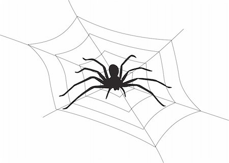 Spider vector. To see similar, please VISIT MY PORTFOLIO Stock Photo - Budget Royalty-Free & Subscription, Code: 400-05255337