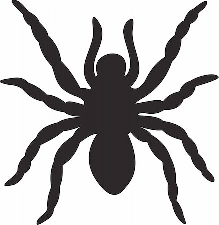 Spider vector. To see similar, please VISIT MY PORTFOLIO Stock Photo - Budget Royalty-Free & Subscription, Code: 400-05255353