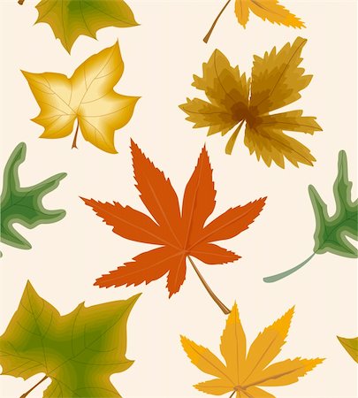 simsearch:400-04752266,k - Autumn concept seamless background with leaf. Vector illustration Stock Photo - Budget Royalty-Free & Subscription, Code: 400-05255771