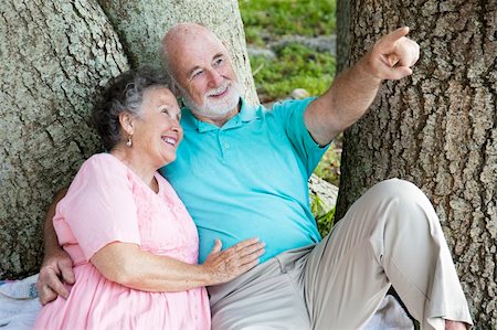 simsearch:400-04208630,k - Senior man points out a bird to his wife as they relax in the park. Stock Photo - Budget Royalty-Free & Subscription, Code: 400-05259759