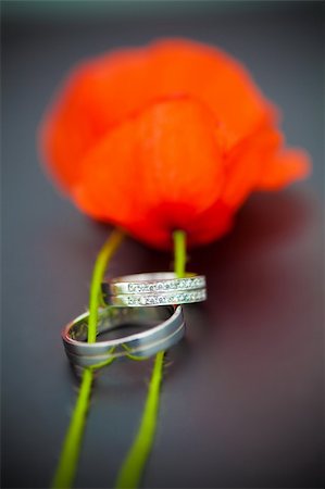Wedding rings and tullips Photographie de stock - Aubaine LD & Abonnement, Code: 400-05250194