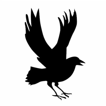 simsearch:400-05884422,k - vector silhouette ravens on white background Stock Photo - Budget Royalty-Free & Subscription, Code: 400-05253478