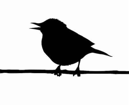 sparrow tattoo designs - vector silhouette of the bird on branch Stock Photo - Budget Royalty-Free & Subscription, Code: 400-05253649