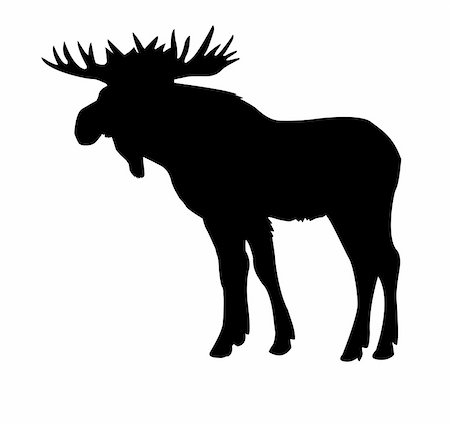 simsearch:400-05253726,k - silhouette moose isolated on white background Foto de stock - Super Valor sin royalties y Suscripción, Código: 400-05253692