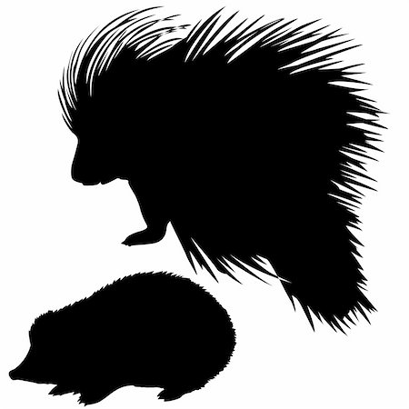 simsearch:400-05253726,k - silhouette of the hedgehog and porcupine on white background Foto de stock - Super Valor sin royalties y Suscripción, Código: 400-05253713
