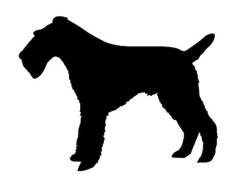 simsearch:400-05253726,k - silhouette of the fox terrier isolated on white background Foto de stock - Super Valor sin royalties y Suscripción, Código: 400-05253728