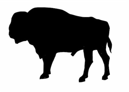 illustration of the oxen on white background Foto de stock - Super Valor sin royalties y Suscripción, Código: 400-05265395