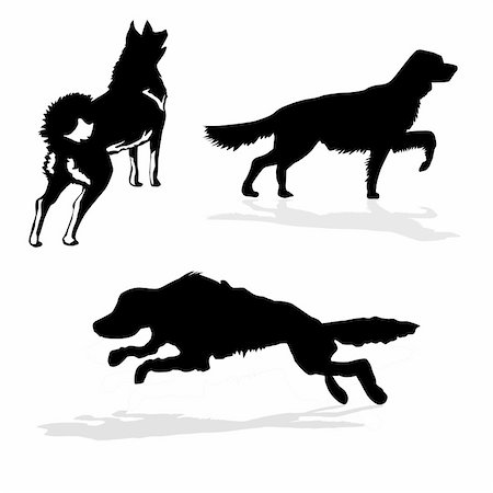 simsearch:400-05253726,k - vector silhouette hunt dogs on white background Foto de stock - Super Valor sin royalties y Suscripción, Código: 400-05265414