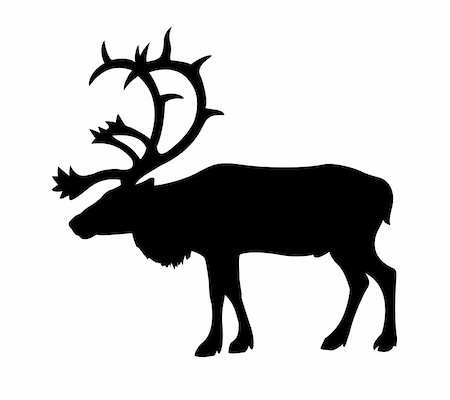 simsearch:400-05253726,k - silhouette of the reindeer on white background Foto de stock - Super Valor sin royalties y Suscripción, Código: 400-05265453