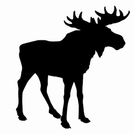 simsearch:400-05253726,k - silhouette moose on white background Foto de stock - Super Valor sin royalties y Suscripción, Código: 400-05267289