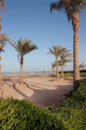 simsearch:851-02962651,k - Empty beach and palm trees shot in sharm el sheikh egypt Stock Photo - Budget Royalty-Free & Subscription, Code: 400-05267945