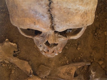 simsearch:400-03971352,k - Human skull seen from above with soil in the background Foto de stock - Super Valor sin royalties y Suscripción, Código: 400-05262041