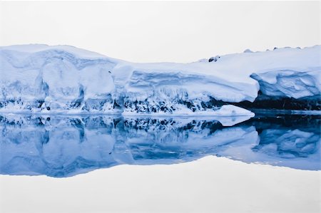 simsearch:400-04747906,k - Antarctic iceberg in the snow Stock Photo - Budget Royalty-Free & Subscription, Code: 400-05278063