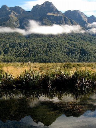 simsearch:400-05271081,k - Milford Sound, Te Wahipounamu, New Zealand Photographie de stock - Aubaine LD & Abonnement, Code: 400-05270888