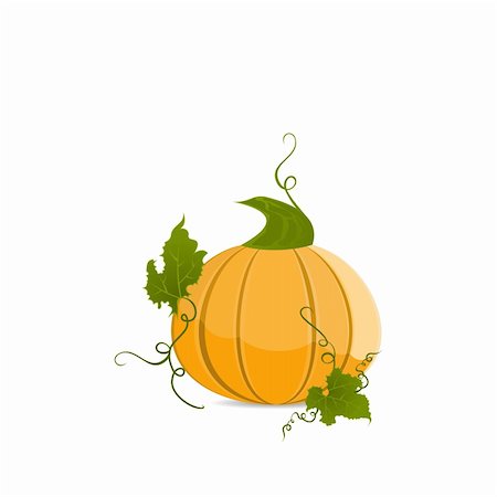 pumpkin leaf pattern - Ripe orange pumpkin vegetable with green leaves. Vector Stock Photo - Budget Royalty-Free & Subscription, Code: 400-05271538