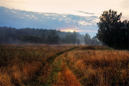 Rural landscape with road on sunset Stock Photo - Budget Royalty-Free & Subscription, Code: 400-05273460