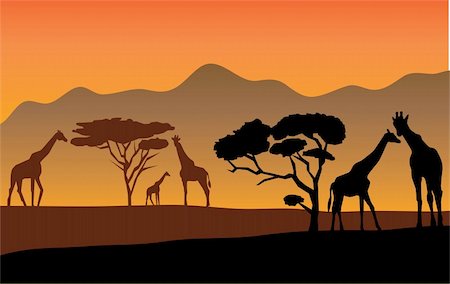 vector giraffes with babies in Africa Stock Photo - Budget Royalty-Free & Subscription, Code: 400-05273806