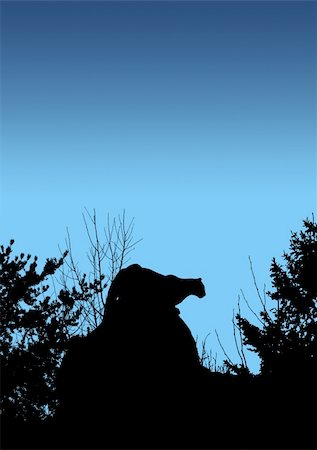 Black silhouette of cougar stalking prey from a big boulder rock on top of a mountain in the early morning or night. Photographie de stock - Aubaine LD & Abonnement, Code: 400-05287046