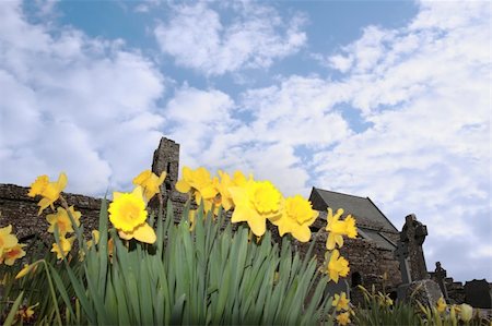 simsearch:400-04032243,k - daffodils in front of ancient celtic crosses in the graveyard of an old irish church Stock Photo - Budget Royalty-Free & Subscription, Code: 400-05288239