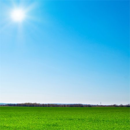 simsearch:700-02265197,k - beautiful landscape, green grass, blue sky Stock Photo - Budget Royalty-Free & Subscription, Code: 400-05288423