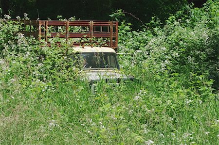 stalled - An abandoned vehicle that is being engulfed by bushes. Stock Photo - Budget Royalty-Free & Subscription, Code: 400-05280859