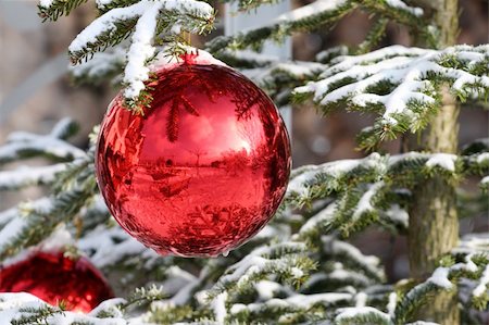 simsearch:400-04841877,k - Red Bauble on Christmas Tree with Reflection Stock Photo - Budget Royalty-Free & Subscription, Code: 400-05282796