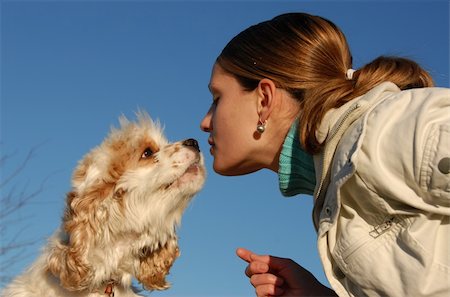 dog kissing girl - young purebred american cocker kissing his young owner girl Foto de stock - Super Valor sin royalties y Suscripción, Código: 400-05294995