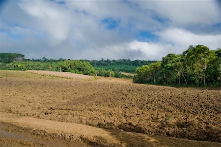simsearch:673-02801432,k - Exposed soil on forest converted to agricultural production area in southern Brazil. Stock Photo - Budget Royalty-Free & Subscription, Code: 400-05295671