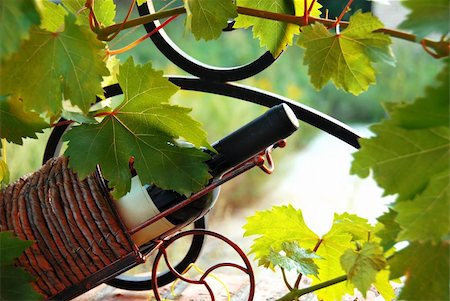 decorative iron - red wine bottle in decorative basket between vine leaves Stock Photo - Budget Royalty-Free & Subscription, Code: 400-05298976