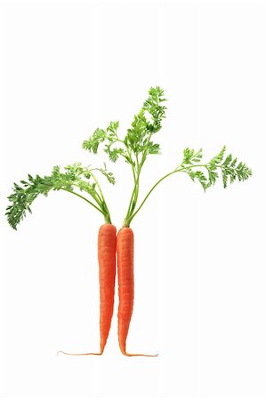 simsearch:400-05744489,k - Carrots on White Background Stock Photo - Budget Royalty-Free & Subscription, Code: 400-05290564