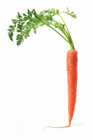 Carrot on White Background Stock Photo - Budget Royalty-Free & Subscription, Code: 400-05290563