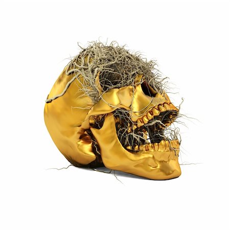 skull with bone in mouth - Golden human skull had grown a vine. with clipping path Stock Photo - Budget Royalty-Free & Subscription, Code: 400-05293822