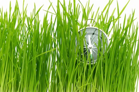simsearch:400-05362449,k - compass in green grass isolated on white background Stock Photo - Budget Royalty-Free & Subscription, Code: 400-05304373