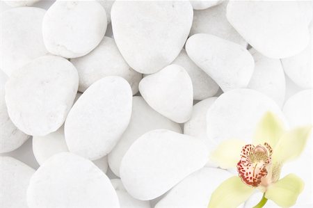 simsearch:400-04016023,k - close-up of few white stones, front view Stock Photo - Budget Royalty-Free & Subscription, Code: 400-05304943