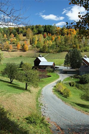 fall leaves winding road hills - A winding country road leading to Sleepy Hollow Farm in Vermont. Stock Photo - Budget Royalty-Free & Subscription, Code: 400-05305145