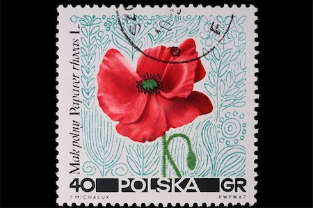 Poland - CIRCA 1967: A stamp is printed in Poland, poppy, let out CIRCA in 1967. Stock Photo - Budget Royalty-Free & Subscription, Code: 400-05308110