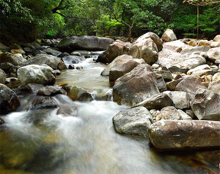 water spring in forest Stock Photo - Budget Royalty-Free & Subscription, Code: 400-05308688