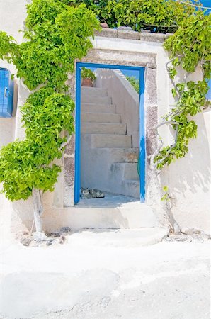 simsearch:400-04898640,k - Unique Santorini architecture, beautiful buildings and green tree Stock Photo - Budget Royalty-Free & Subscription, Code: 400-05309121