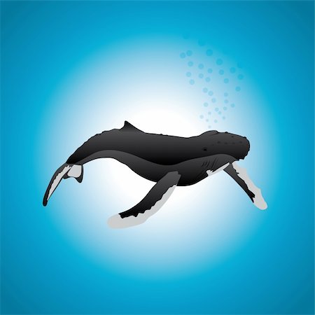 A humpback whale on a blue gradient background, in an editable vector illustration. Stock Photo - Budget Royalty-Free & Subscription, Code: 400-05309403