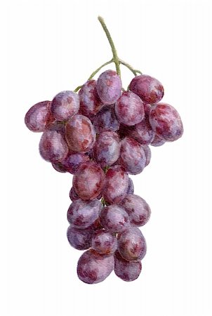 simsearch:400-06923729,k - Fresh grape cluster, isolated, water color Stock Photo - Budget Royalty-Free & Subscription, Code: 400-05301061